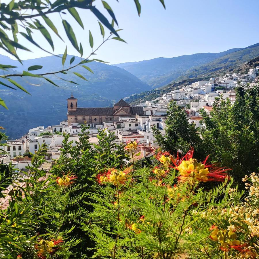 Laguna - Your Duplex In The Sun! Appartement Vera